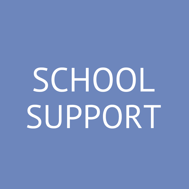 School Support