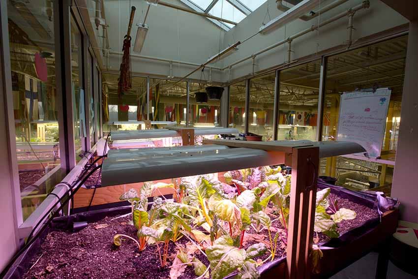Burnaby Mountain Secondary Agriculture Lab