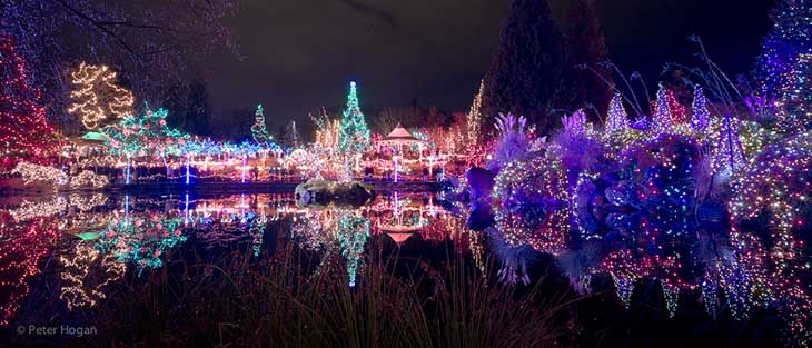 VanDusen Botanical Garden Winter Lights